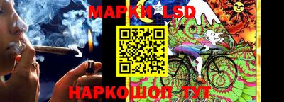 эйфоретик Заволжье