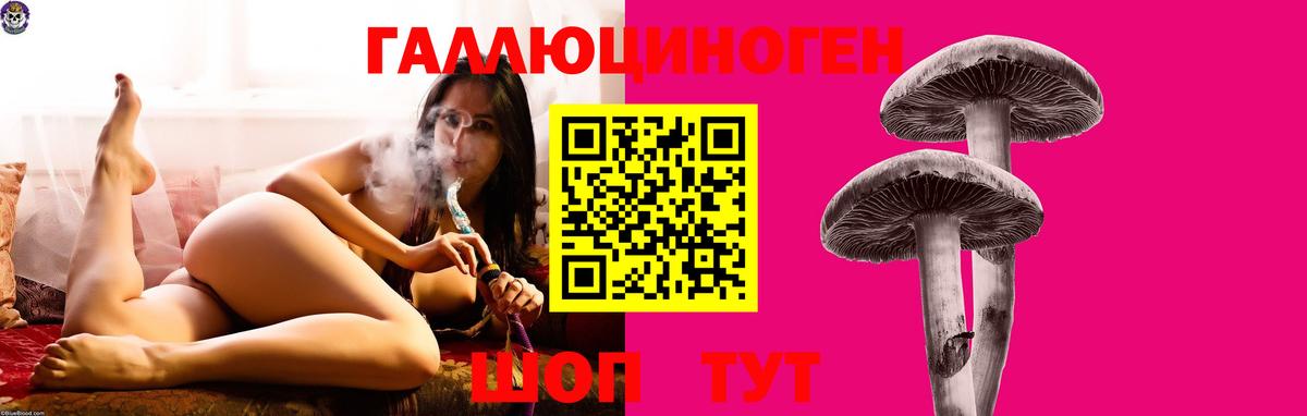 Галлюциногенные грибы Magic Shrooms  Вход с VPN  Кунгур 